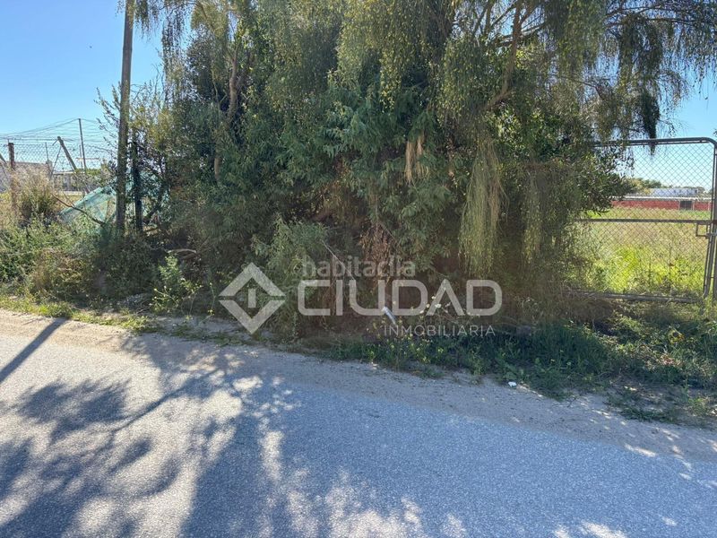 Foto cab06fb7-b343-4356-a0fe-53ff58e09128. Finca rústica a Bonanza-Avda de Huelva-Barrio Andalucia Sanlúcar de Barrameda