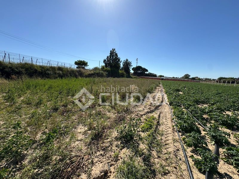 Foto fd3fb9b0-3ec8-4852-af4e-f6a557a34ec1. Finca rústica a Bonanza-Avda de Huelva-Barrio Andalucia Sanlúcar de Barrameda