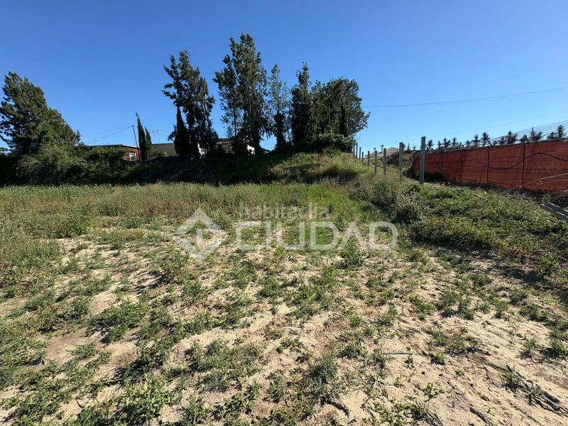 Foto fe5372e2-cb10-4936-9bce-924731187a78. Finca rústica a Bonanza-Avda de Huelva-Barrio Andalucia Sanlúcar de Barrameda