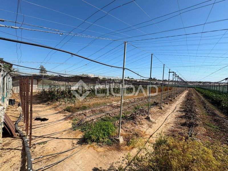 Foto 15857659-76ac-4796-9496-03370c9e3cf5. Finca rústica a Las Palmeras-Dehesilla Sanlúcar de Barrameda