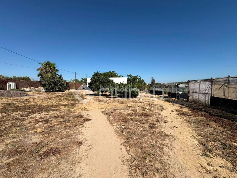Foto 462e7f57-83e7-48e5-a81c-df1ba102234a. Finca rústica a Las Palmeras-Dehesilla Sanlúcar de Barrameda