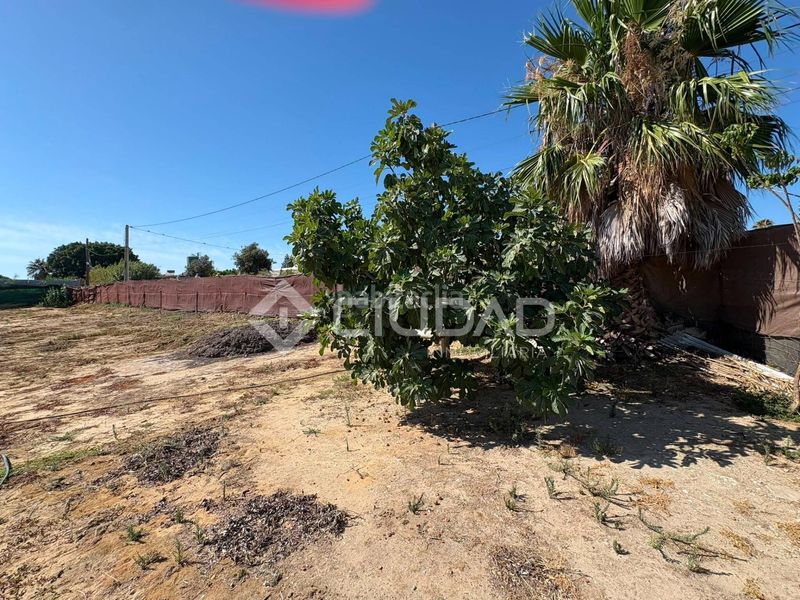 Foto 53fdff47-32ec-474c-ae38-b9a5ba15a9a7. Finca rústica a Las Palmeras-Dehesilla Sanlúcar de Barrameda