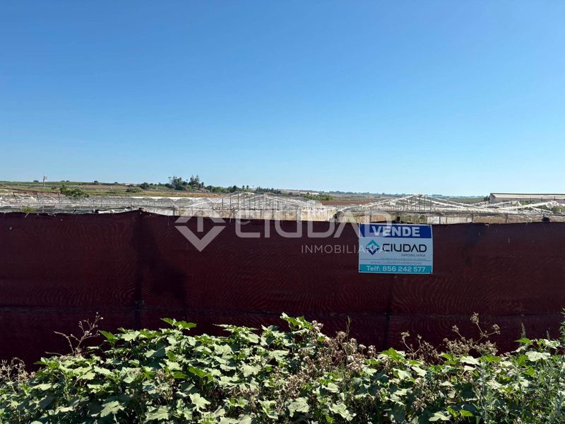 Foto 596ec87c-ba47-416e-bd76-40d43ef219c6. Finca rústica a Las Palmeras-Dehesilla Sanlúcar de Barrameda