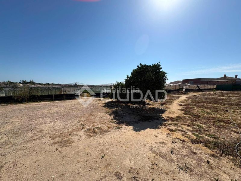 Foto 7397738b-a517-4a8f-b602-41c0c5c3a7e3. Finca rústica a Las Palmeras-Dehesilla Sanlúcar de Barrameda