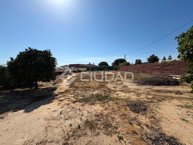 Foto 75438745-3147-444e-a4e7-ebb0381fa2ea. Finca rústica a Las Palmeras-Dehesilla Sanlúcar de Barrameda