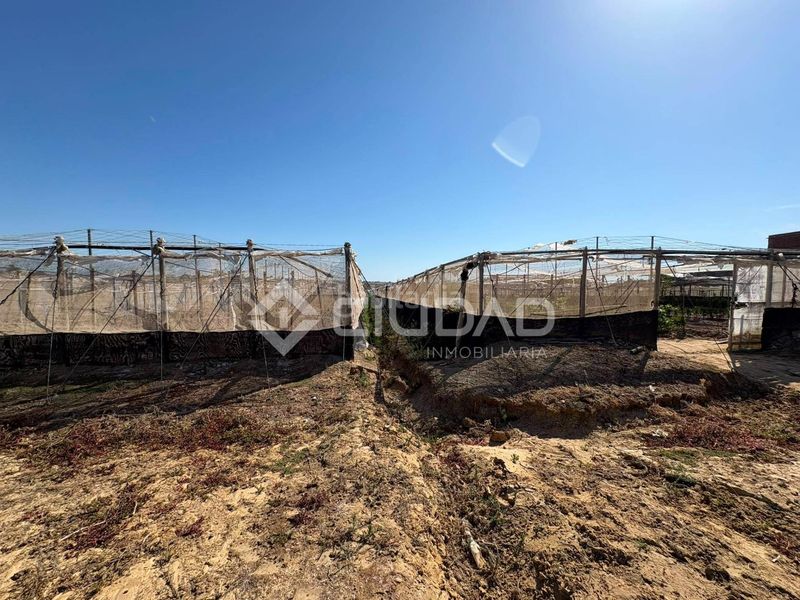 Foto 8964e5de-c8e4-4ab4-a307-d8082c7b9858. Finca rústica a Las Palmeras-Dehesilla Sanlúcar de Barrameda