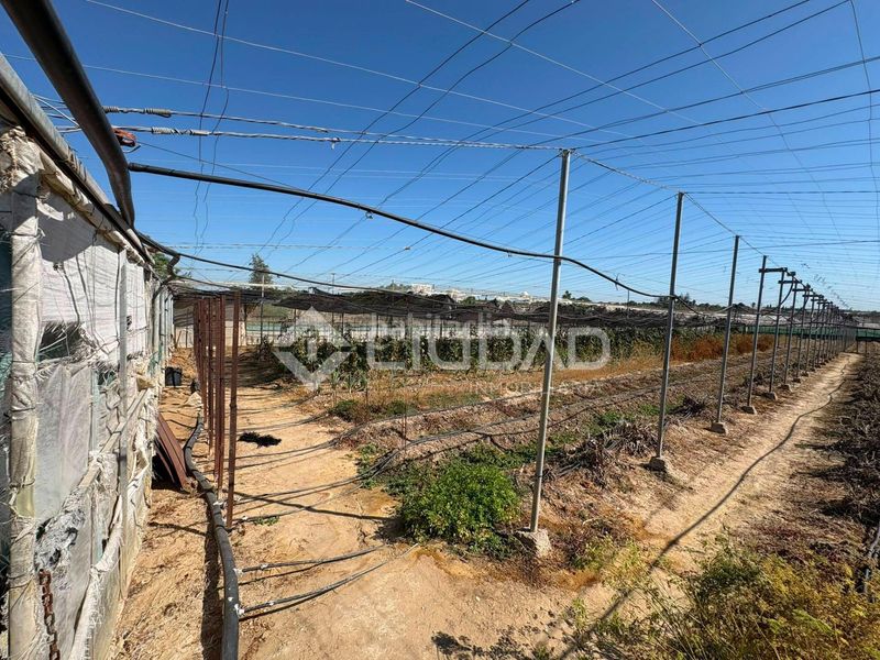 Foto 99ea2dd7-12ab-4e6b-bb54-d8c142ea7ab5. Finca rústica a Las Palmeras-Dehesilla Sanlúcar de Barrameda