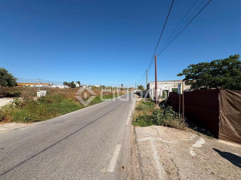 Foto c447fc36-3211-4c4a-98f6-b98cc60d2bd2. Finca rústica a Las Palmeras-Dehesilla Sanlúcar de Barrameda