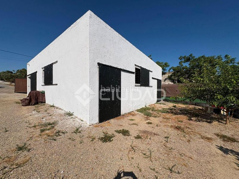 Foto e0be9d7c-2034-4e0a-a359-ee5d48563cbc. Finca rústica a Las Palmeras-Dehesilla Sanlúcar de Barrameda