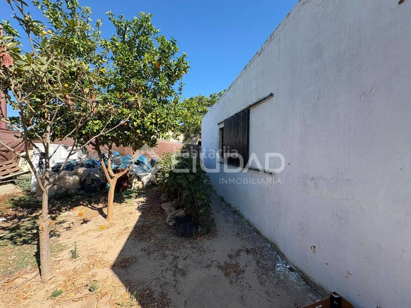 Foto e10c3760-31ae-4d67-bcb1-a3bd69140dc1. Finca rústica a Las Palmeras-Dehesilla Sanlúcar de Barrameda