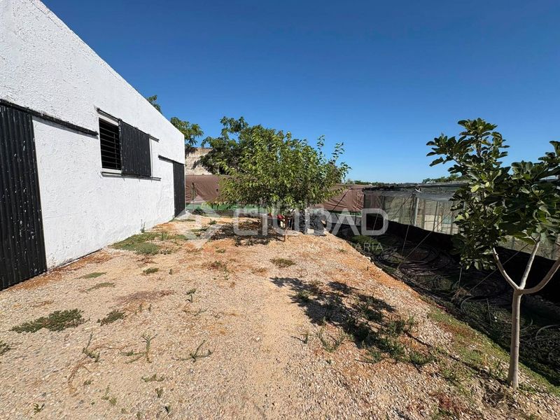 Foto ec27a8bd-50a7-44c2-b6e5-ea8f58471aa1. Finca rústica a Las Palmeras-Dehesilla Sanlúcar de Barrameda