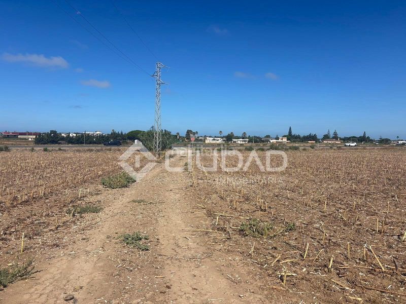 Foto 2ec02b5e-e761-43d0-9614-bb2c8d0b3295. Finca rústica a Las Palmeras-Dehesilla Sanlúcar de Barrameda