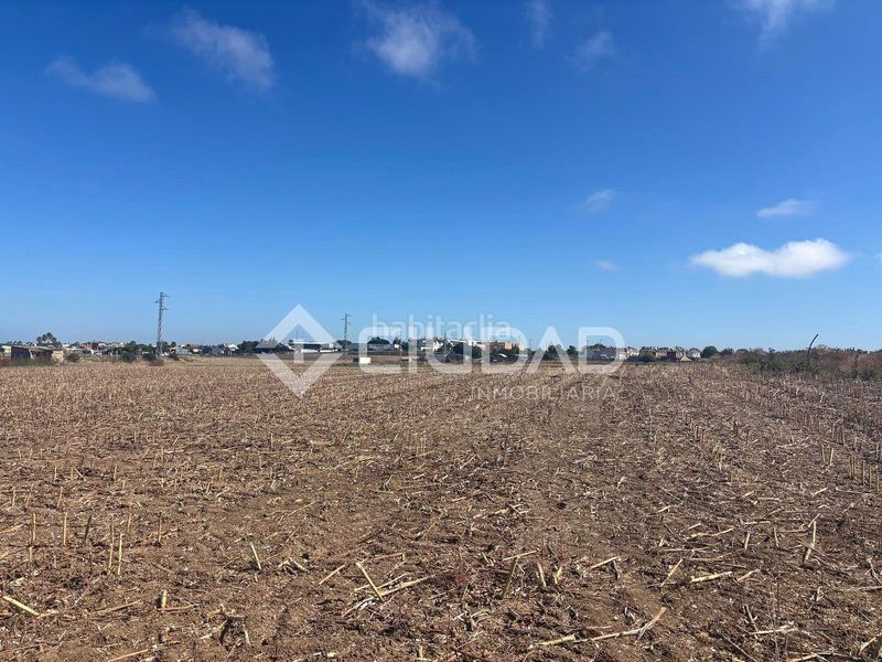 Foto ac0f23fc-45fe-4160-aebe-7fb869df54e5. Finca rústica a Las Palmeras-Dehesilla Sanlúcar de Barrameda