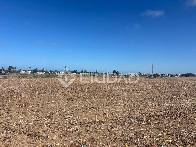 Foto ba881ed6-a508-4adb-81b7-b140bdf86f18. Finca rústica a Las Palmeras-Dehesilla Sanlúcar de Barrameda