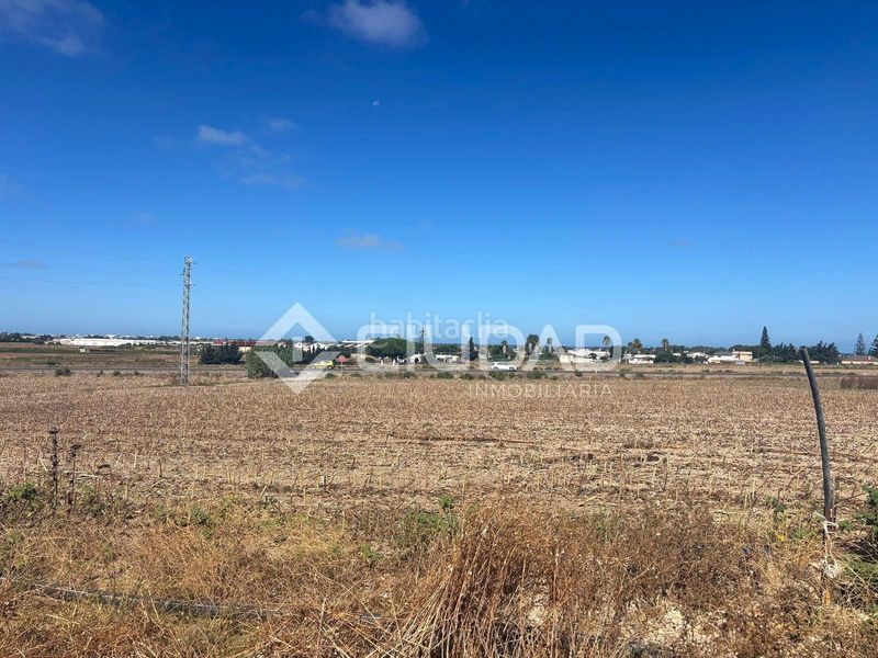 Foto dfd36b26-fe7a-4e6c-a6c3-030bfbd35fa9. Finca rústica a Las Palmeras-Dehesilla Sanlúcar de Barrameda