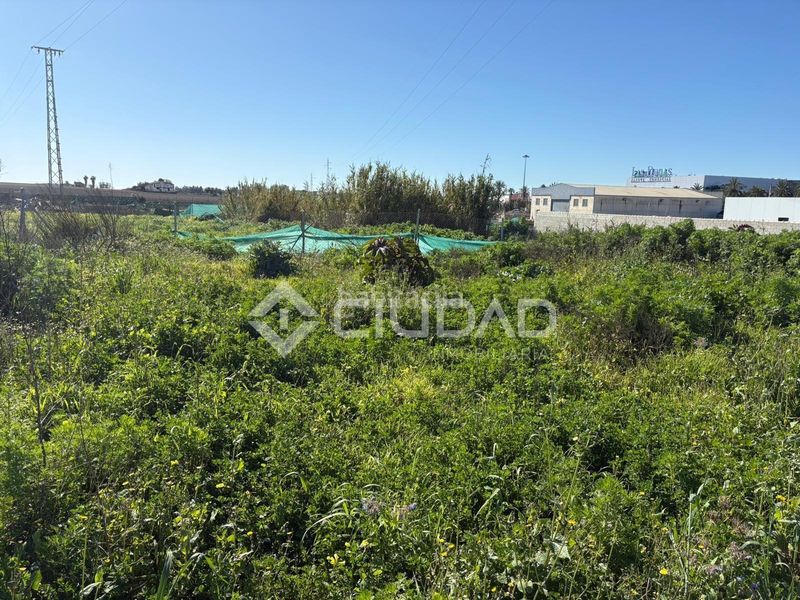 Foto 03a7eac4-76a2-4a1f-9cbf-1738cdfcce50. Finca rústica a Ctra Jerez-Ctra del Puerto Sanlúcar de Barrameda