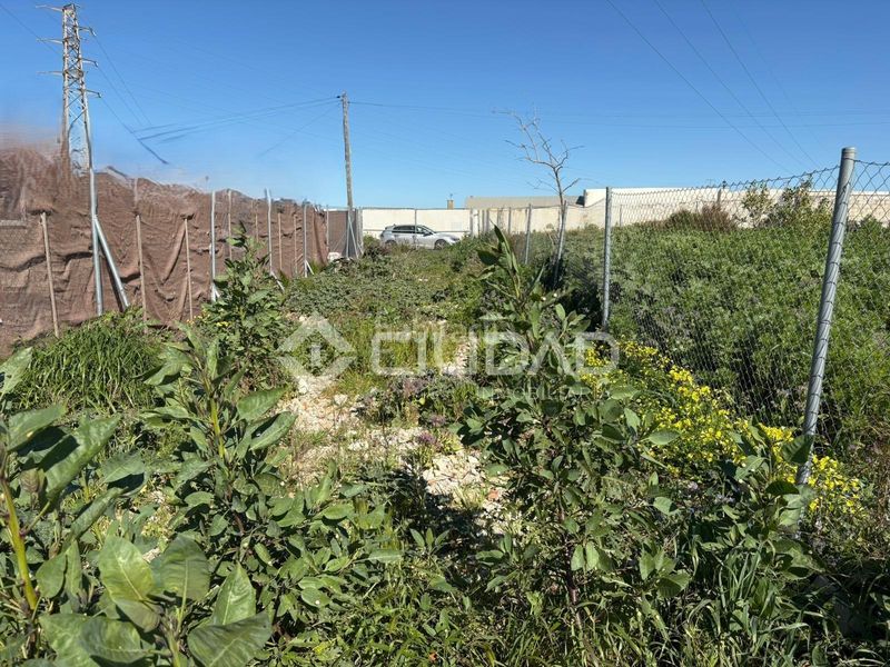 Foto 1541e22c-d121-4085-baf6-262078950d58. Finca rústica a Ctra Jerez-Ctra del Puerto Sanlúcar de Barrameda