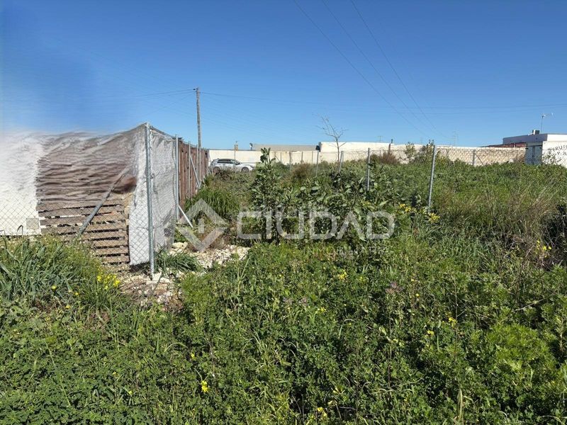 Foto 27f8b452-4a55-43ef-b4a3-32f7a4091b5b. Finca rústica a Ctra Jerez-Ctra del Puerto Sanlúcar de Barrameda