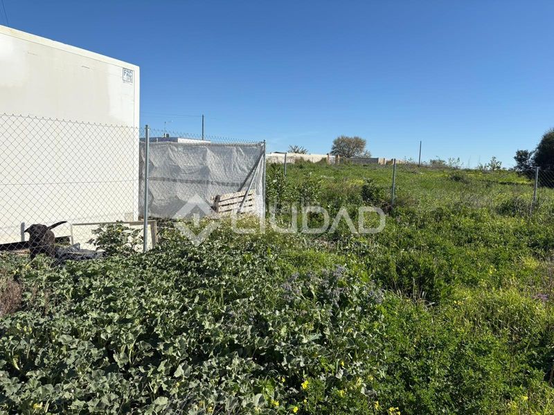 Foto 44cb6475-974c-4c2f-b528-7b970b2d8f3a. Finca rústica a Ctra Jerez-Ctra del Puerto Sanlúcar de Barrameda
