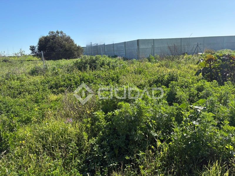 Foto 4f3558f1-3592-4c90-a5a2-74ba7d5c7560. Finca rústica a Ctra Jerez-Ctra del Puerto Sanlúcar de Barrameda