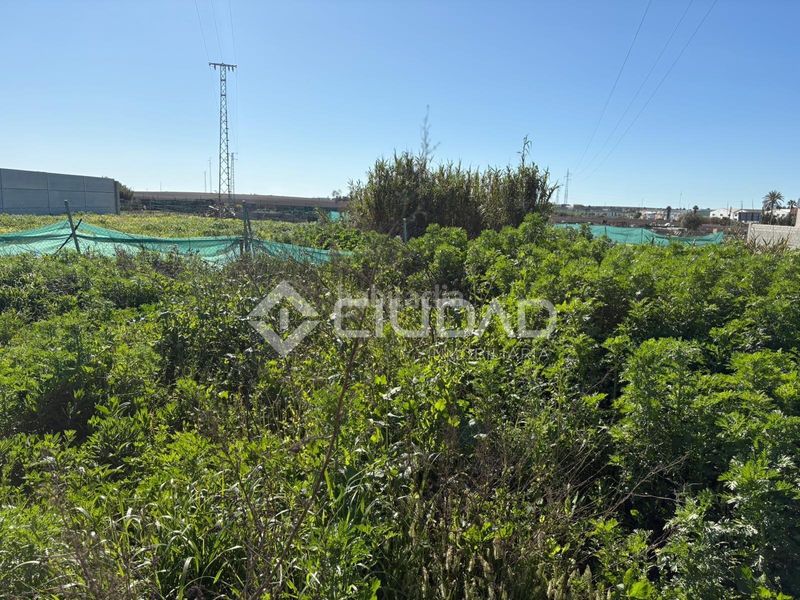 Foto 6bdcd889-079a-46b3-a63c-cb35951d884d. Finca rústica a Ctra Jerez-Ctra del Puerto Sanlúcar de Barrameda