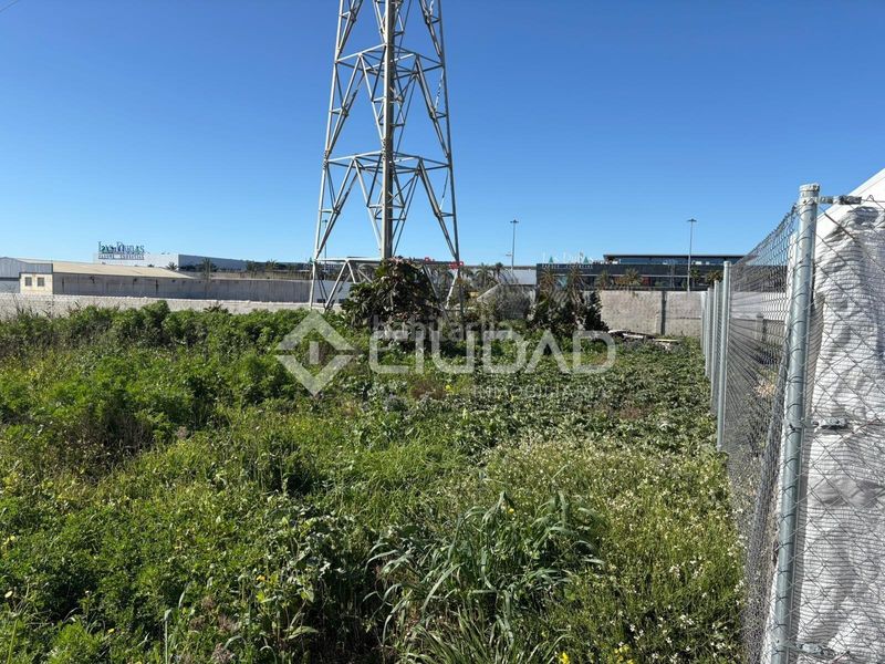 Foto e1a5d0f8-14b1-4ac4-a369-f67974e56a78. Finca rústica a Ctra Jerez-Ctra del Puerto Sanlúcar de Barrameda