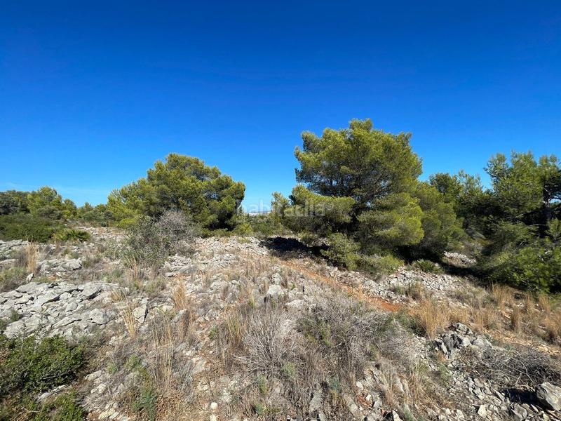 Foto 5467244c-2966-4836-9714-c81d504cf4df. Residential plot in Benissa pueblo Benissa