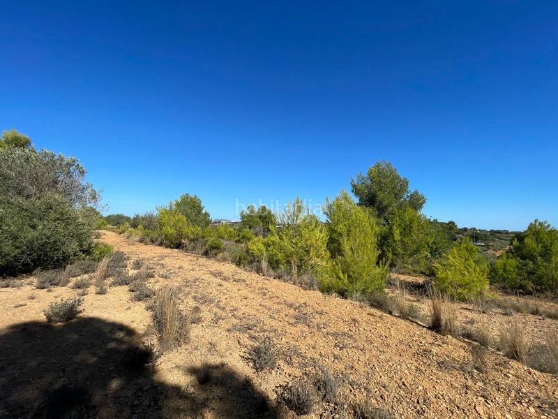 Foto 8ec52c6b-2f06-4cd3-8503-46c00bf8b10d. Residential plot in Benissa pueblo Benissa