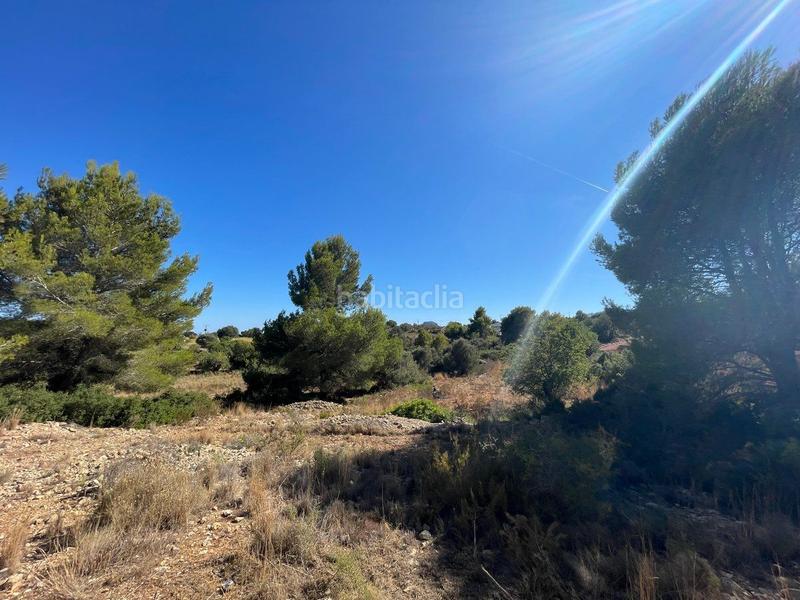 Foto b28c7b3d-25d6-4e06-bb35-49fc073ae959. Residential plot in Benissa pueblo Benissa