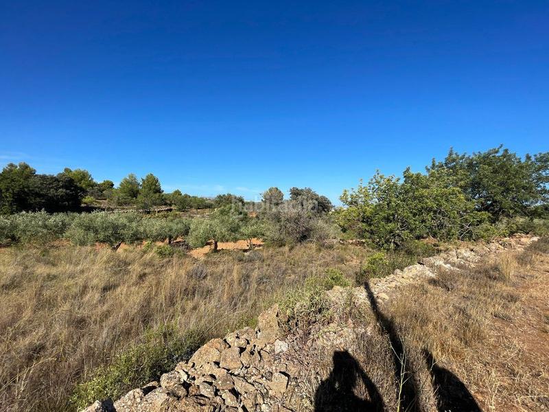 Foto 6e215f43-0f26-4a8a-8dc2-fa867cc5d0da. Terrain résidentiel dans Benissa pueblo Benissa