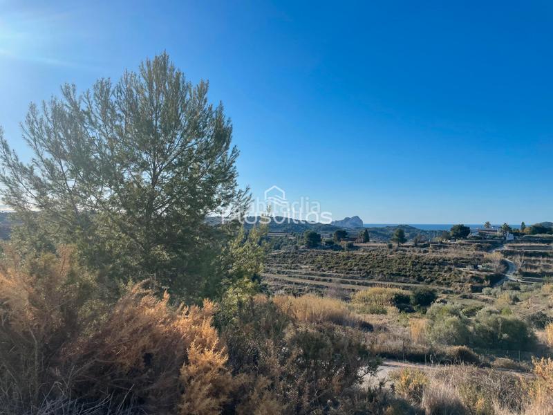 Foto 14a5fb02-266e-4135-bff7-3da01eff5db2. Terreny residencial a Benissa pueblo Benissa