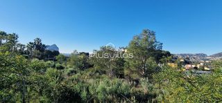 Wohngrundstück in Cometa