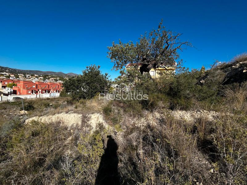 Foto 4ec1c1d8-0f09-46a3-a92f-be049752797c. Residential plot in Pueblo Calp