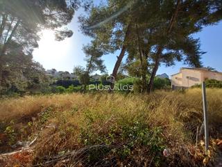 Terreny residencial a Cometa