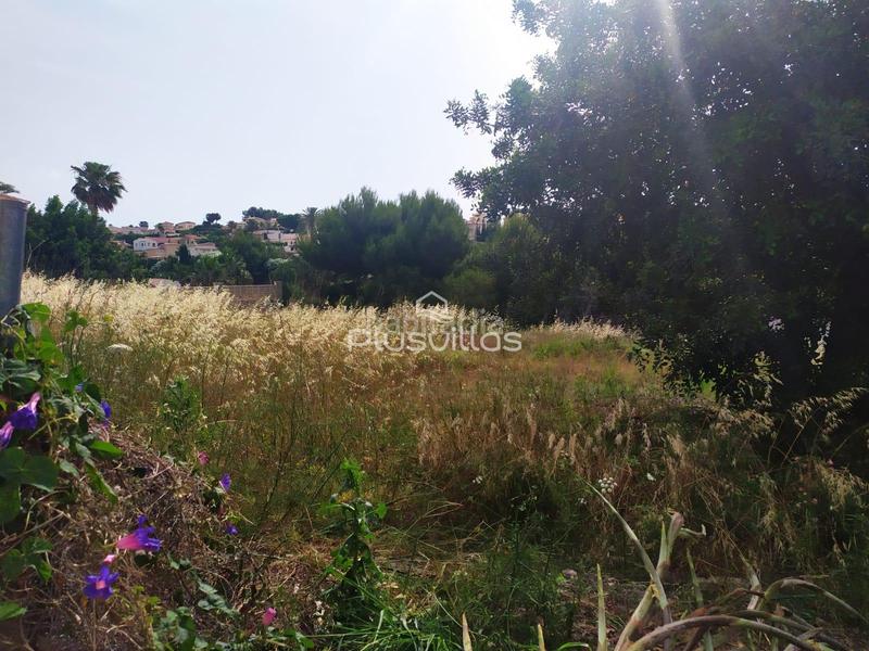 Foto 5a550512-4361-49fb-bf4d-0d3c61f8e953. Terrain résidentiel dans Cometa Calp