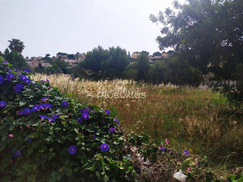 Foto 4925464c-f37b-401e-9397-26b53ca4e2ff. Terreno residenziale in Cometa Calp