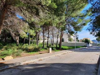 Residential Plot in Casco Urbano