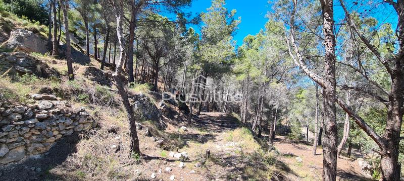Foto 125440fa-18a1-48c9-89dc-34a306e9b91a. Terrain résidentiel dans Oltamar - Cucarres Calp
