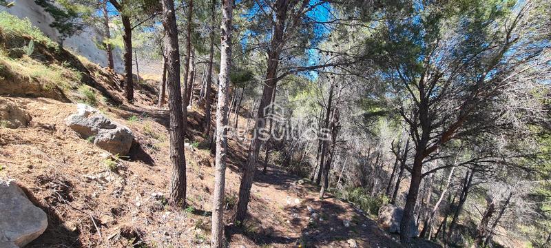 Foto 1b89f1b1-096a-41b0-92f7-134d4270fa2d. Terrain résidentiel dans Oltamar - Cucarres Calp