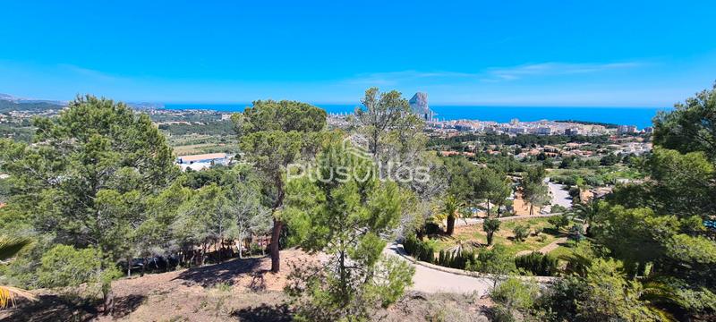 Foto 9416a57c-509e-44d6-b04d-253952090588. Terrain résidentiel dans Oltamar - Cucarres Calp