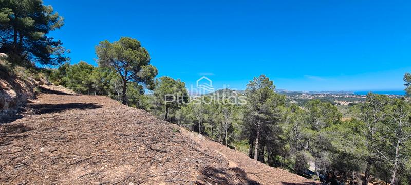 Foto da583944-f3e4-4334-917a-1903f14a0be9. Terrain résidentiel dans Oltamar - Cucarres Calp