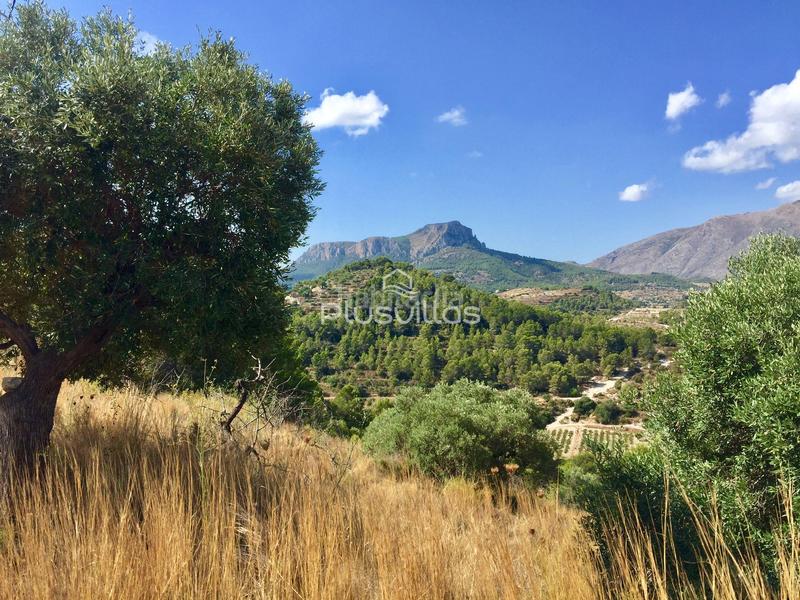 Foto 129418bf-1aad-48f1-9f38-9f9b17d92756. Terreny residencial a Benissa pueblo Benissa