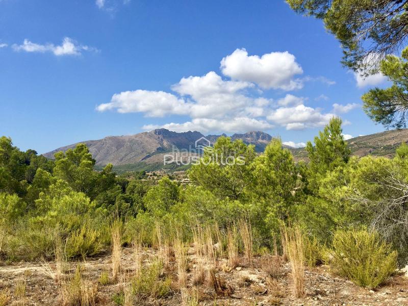 Foto d0255b40-3622-411c-937e-ee1731137be8. Terreny residencial a Benissa pueblo Benissa