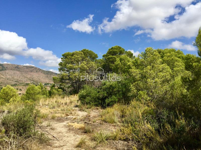 Foto 9a652530-6691-4e71-8af9-734067aec293. Residential plot in Benissa pueblo Benissa