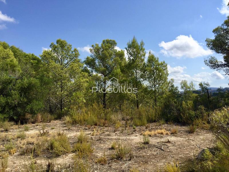 Foto 1eb22bc3-1a6d-49f9-9b1e-7c47cc163b02. Wohngrundstück in Benissa pueblo Benissa