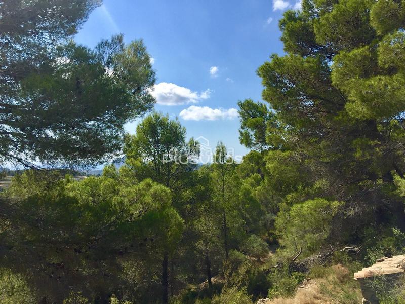 Foto 8662b468-a940-4c1c-bd77-978b0785036d. Wohngrundstück in Benissa pueblo Benissa