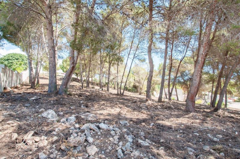 Foto 276f5c07-c8d0-496c-aff3-d742e67dca5e. Residential plot in Casco Urbano Moraira