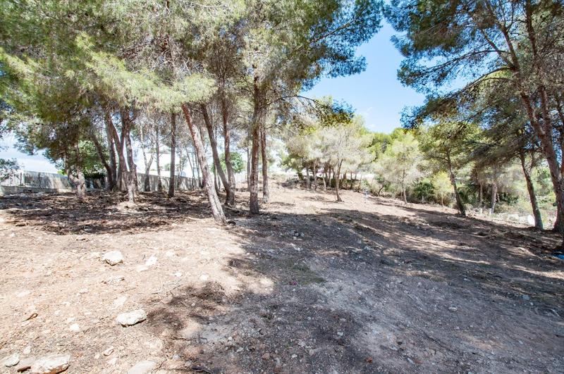 Foto c0fcbd03-78a2-40c5-96f5-e422d679c42a. Residential plot in Casco Urbano Moraira