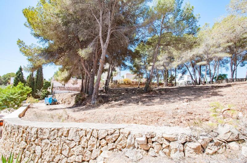 Foto c8da959d-3133-49c4-a67a-ecd46e4fa490. Residential plot in Casco Urbano Moraira
