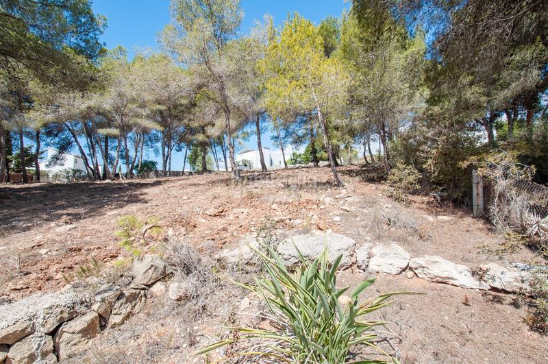 Foto 0739b002-9a5c-45f8-9725-453337cb5f02. Terreno residenziale in Casco Urbano Moraira